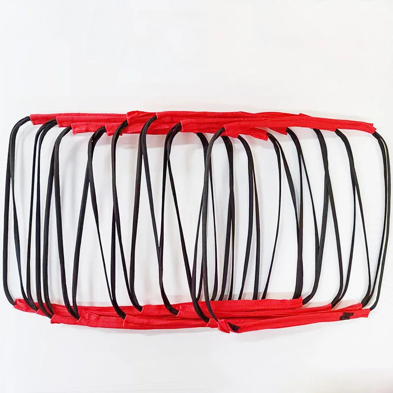 Adjustable Speed Training Ladder